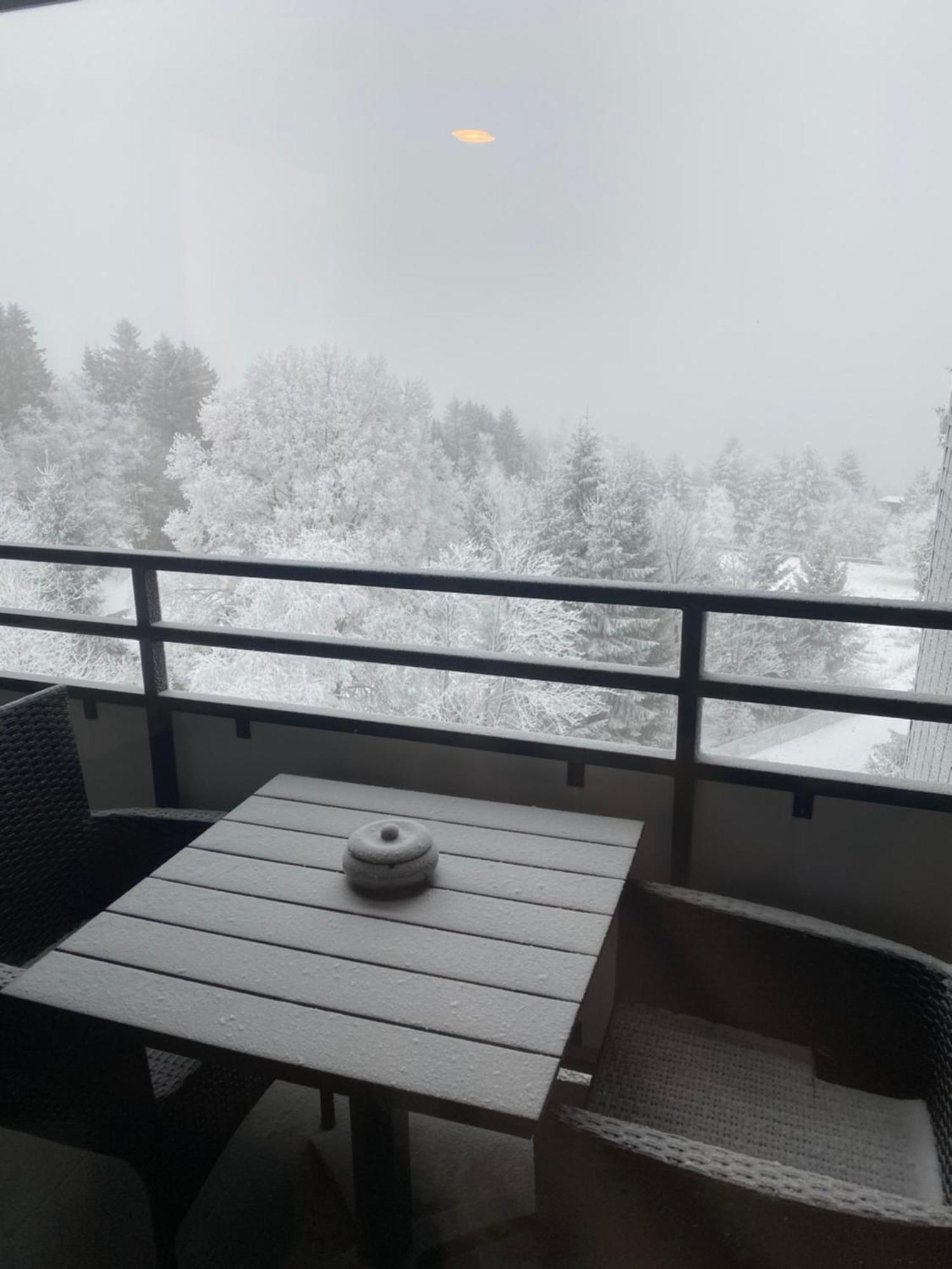 Apartment Bergluft Winterberg Am Bikepark, Skilift, Ssc 外观 照片